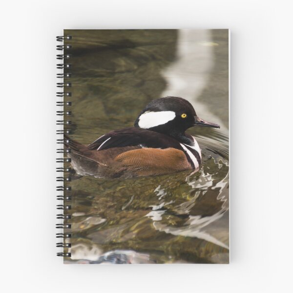 Item preview, Adorable Hooded Merganser Duck on Glossy Ripples designed and sold by Georgia Mizuleva.