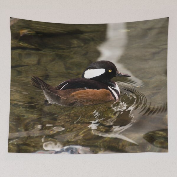 Item preview, Adorable Hooded Merganser Duck on Glossy Ripples designed and sold by Georgia Mizuleva.