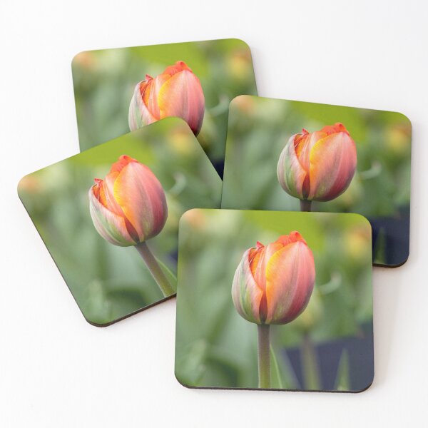 Item preview, Orange colorful tulip macro designed and sold by pietrofoto.