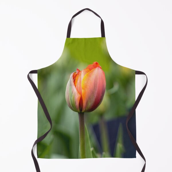Item preview, Orange colorful tulip macro designed and sold by pietrofoto.