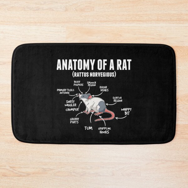 Artikelvorschau, Anatomie Ratte Nagetier Haustier Ratten Rats entworfen und verkauft von Pubi.