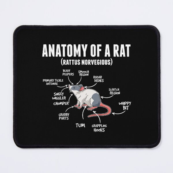 Artikelvorschau, Anatomie Ratte Nagetier Haustier Ratten Rats entworfen und verkauft von Pubi.