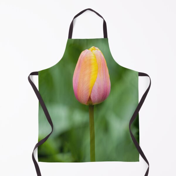 Item preview, Pink and yellow tulip designed and sold by pietrofoto.