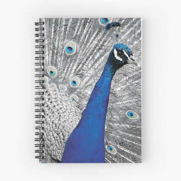 Item preview, Fotografía azul del pavo real designed and sold by expressitdecal.