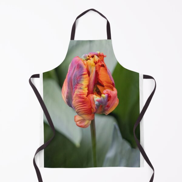 Item preview, Blumex parrot tulip designed and sold by pietrofoto.