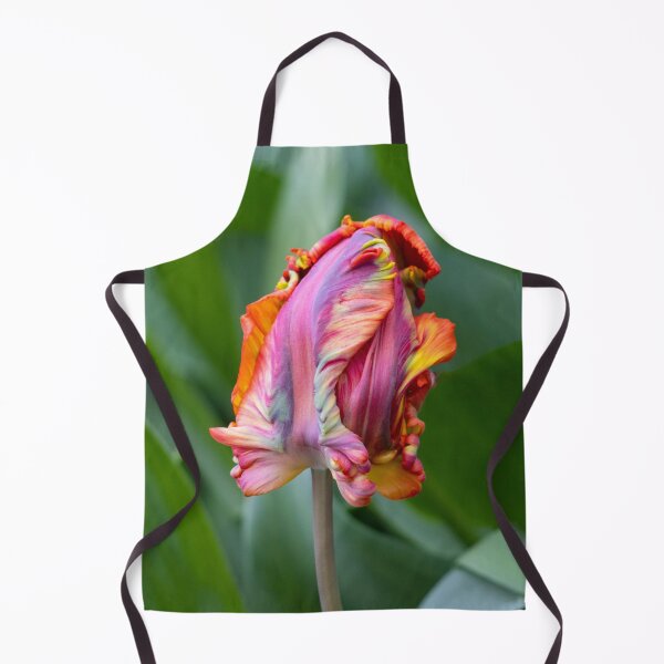 Item preview, Blumex parrot tulip designed and sold by pietrofoto.