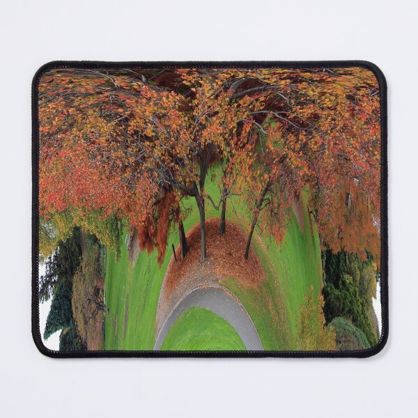 Item preview, Distorted Liquid Amber trees designed and sold by Kirsten Covington.