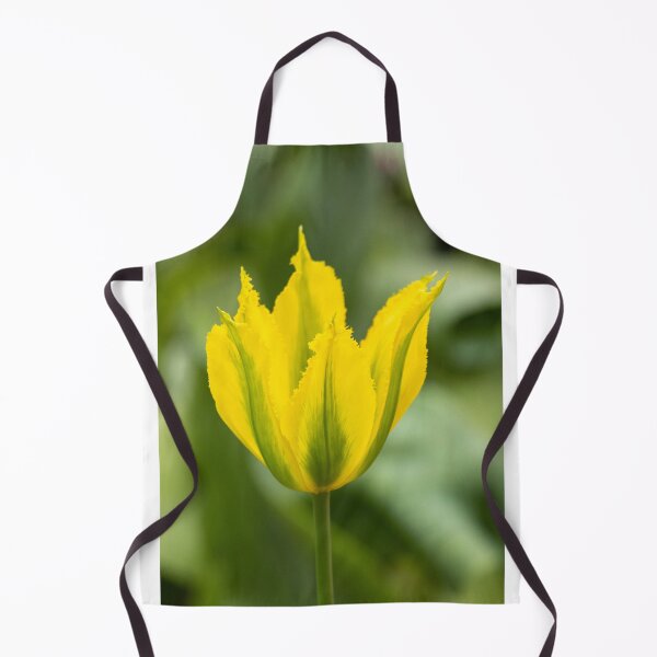 Item preview, Yellow tulip designed and sold by pietrofoto.