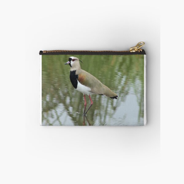 Item preview, Southern Lapwing in Shallow Water designed and sold by rhamm.