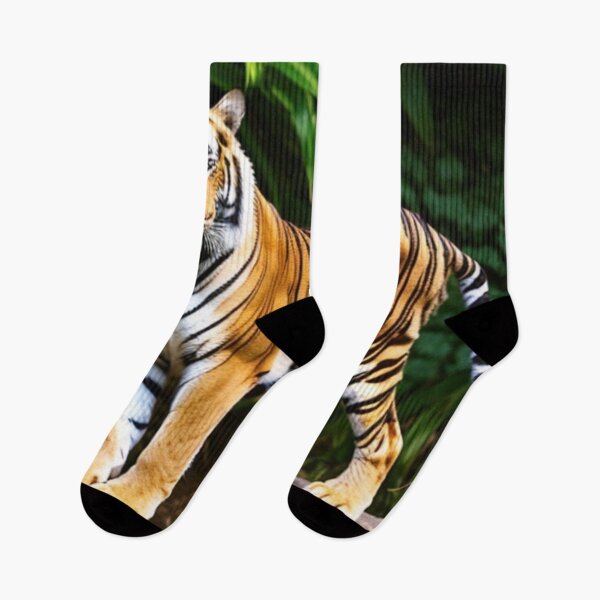 Item preview, Extinct Fierce Caspian Tiger Wild Big Cats designed and sold by Michael Voyler.