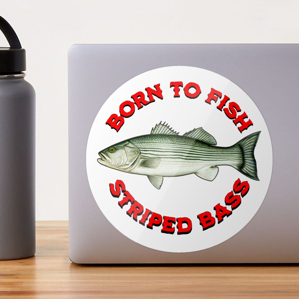 Born to Fish Striped Bass Sticker for Sale by NewNomads