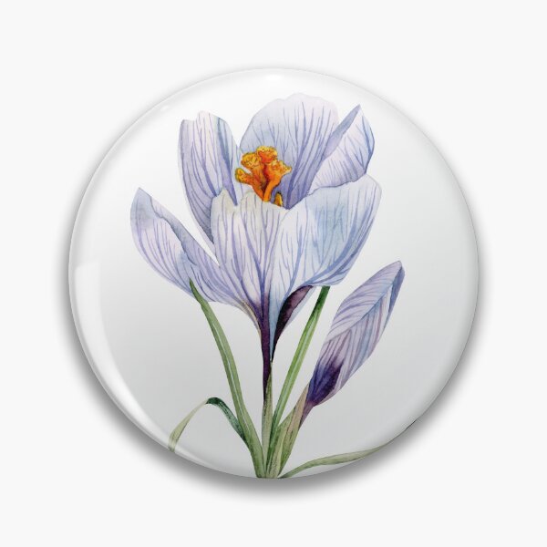 Artikelvorschau, Aquarellpastelllila Krokusblume, Frühlingsblühende Drucke und Aufkleber entworfen und verkauft von Elena Malgina.