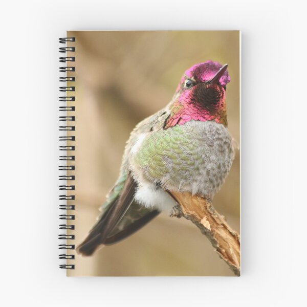 Item preview, Anna's Hummingbird, Lost Lagoon, Stanley Park BC designed and sold by THurdCreations.
