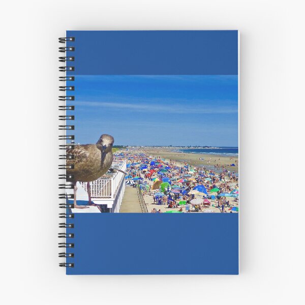 Item preview, Ogunquit Beach Seagull Photobomb designed and sold by LaurenTFOGT.