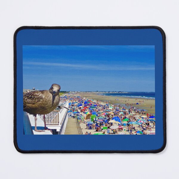 Item preview, Ogunquit Beach Seagull Photobomb designed and sold by LaurenTFOGT.