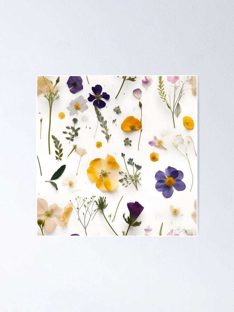 Natures Treasures Preserved: A Collection of Pressed Blooms - Pressed Dried  flowers on white background Sticker for Sale by EmeraldeaArt