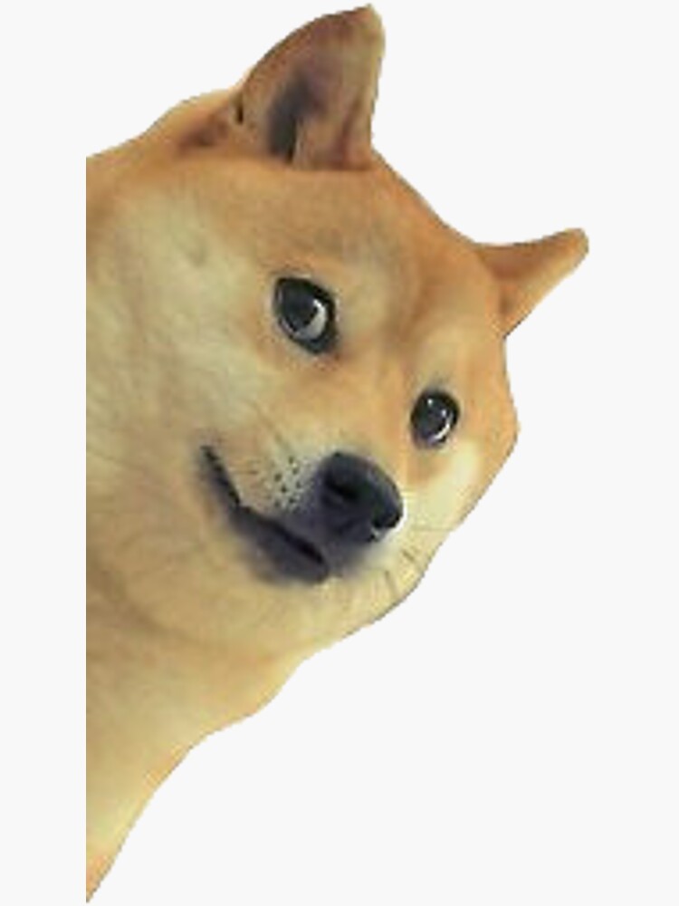 "Doge Always Watching Meme" Sticker by prodesigner2