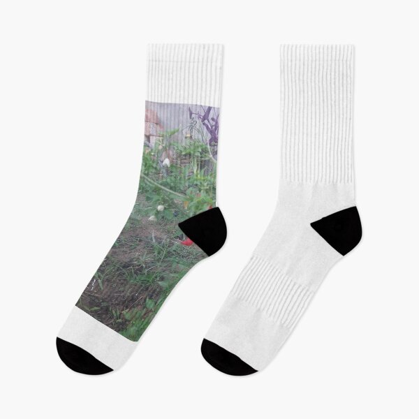 Item preview, Plant image design  designed and sold by Manjeet005.
