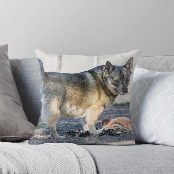 Item preview, Swedish Vallhund And Her Toy designed and sold by FreelanceJim.