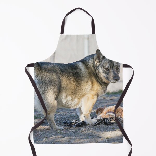 Item preview, Swedish Vallhund And Her Toy designed and sold by FreelanceJim.