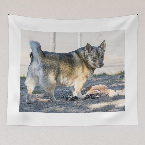 Item preview, Swedish Vallhund And Her Toy designed and sold by FreelanceJim.