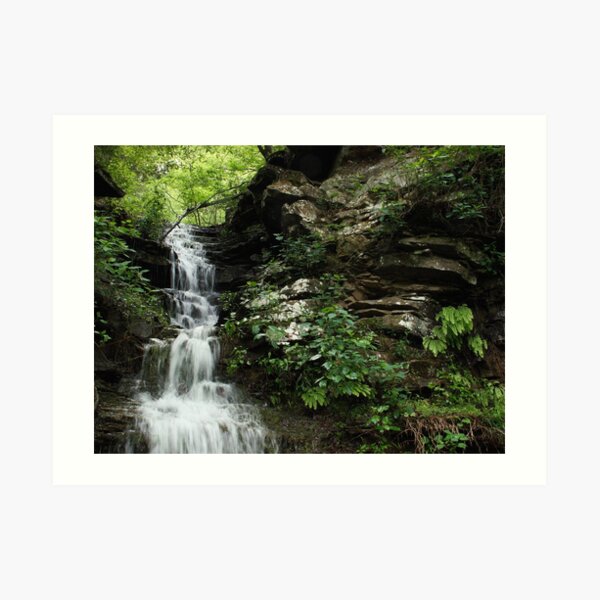 Rocks and Ferns Art Print