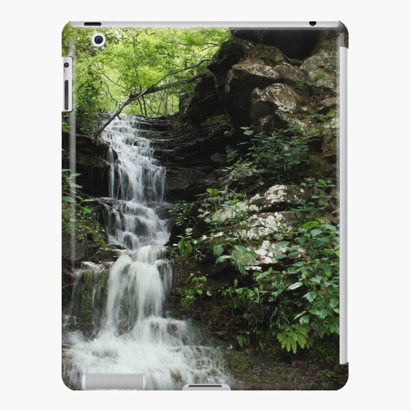 Rocks and Ferns iPad Snap Case