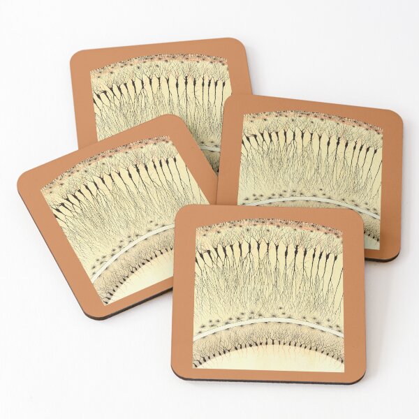 Item preview, Drawing of Hippocampus by Cajal designed and sold by ScienceSource.