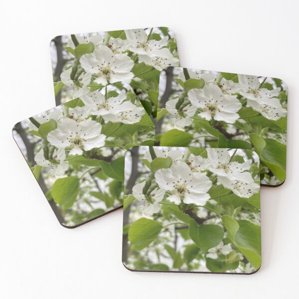Item preview, White Pear Flowers  designed and sold by Amanda1775.