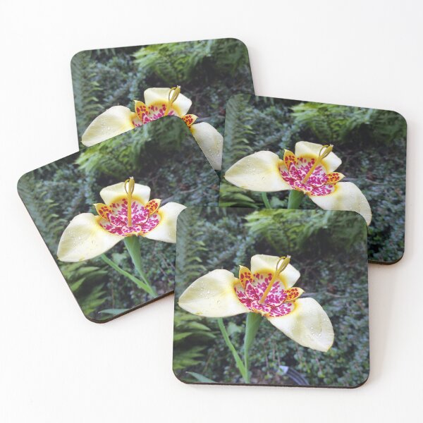 Item preview, Peacock Lily designed and sold by Gourmetkater.