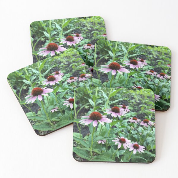 Item preview, Red Coneflower designed and sold by Gourmetkater.