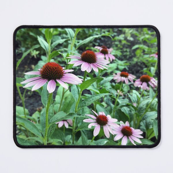 Item preview, Red Coneflower designed and sold by Gourmetkater.