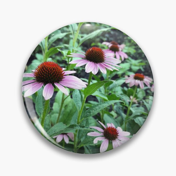 Item preview, Red Coneflower designed and sold by Gourmetkater.