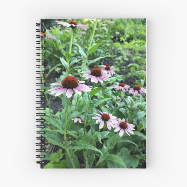 Item preview, Red Coneflower designed and sold by Gourmetkater.