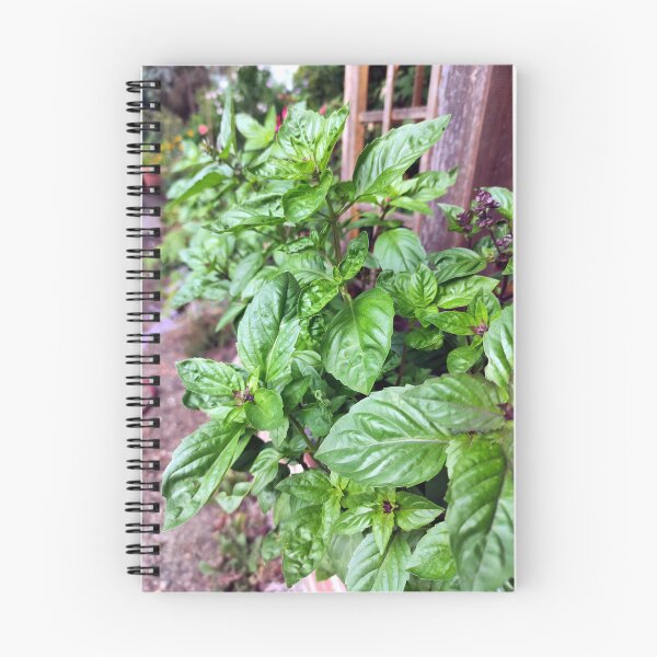 Item preview, basil designed and sold by Gourmetkater.
