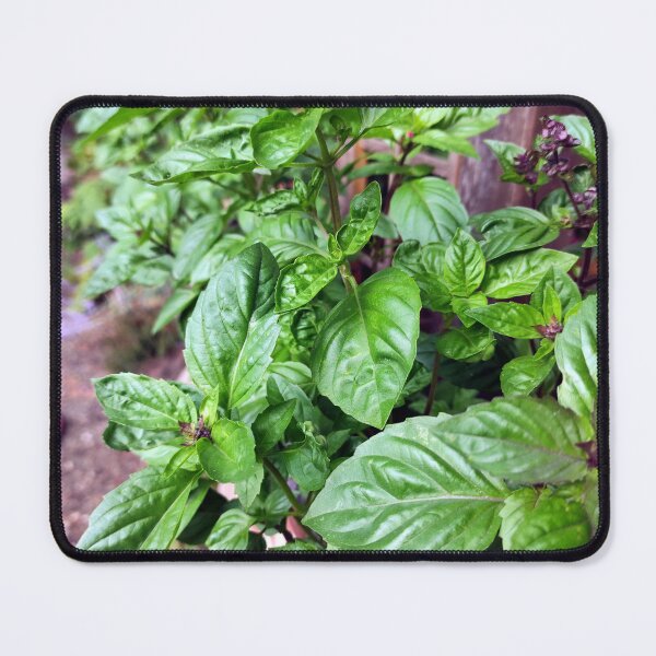 Item preview, basil designed and sold by Gourmetkater.
