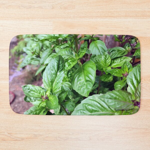 Item preview, basil designed and sold by Gourmetkater.