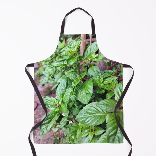 Item preview, basil designed and sold by Gourmetkater.