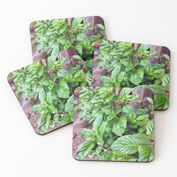 Item preview, basil designed and sold by Gourmetkater.