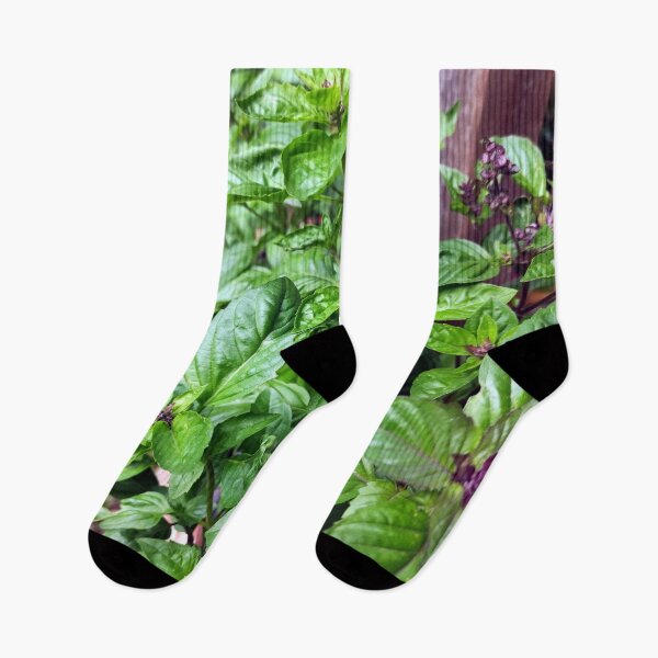 Item preview, basil designed and sold by Gourmetkater.