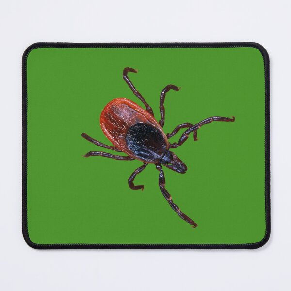Item preview, Female Black-legged Tick on a Green Background designed and sold by ScienceSource.