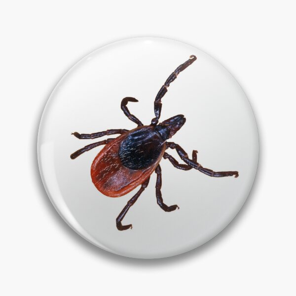 Item preview, Female Black-legged Tick on White designed and sold by ScienceSource.