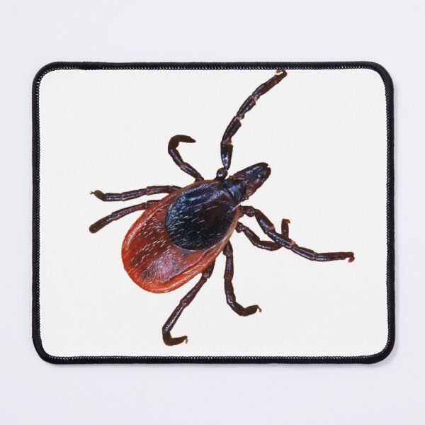 Item preview, Female Black-legged Tick on White designed and sold by ScienceSource.