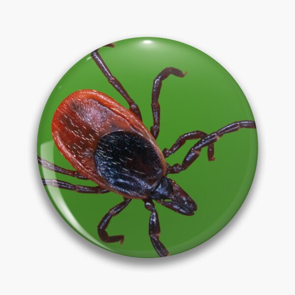 Item preview, Female Black-legged Tick on a Green Background designed and sold by ScienceSource.