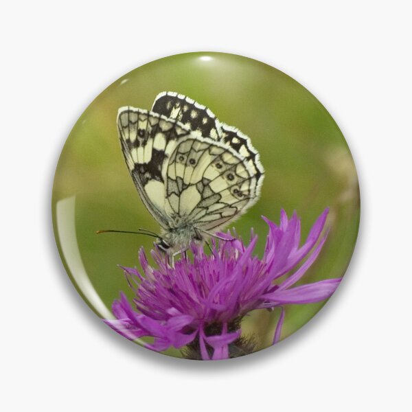 Item preview, Marbled White Butterfly designed and sold by Linda Marques.
