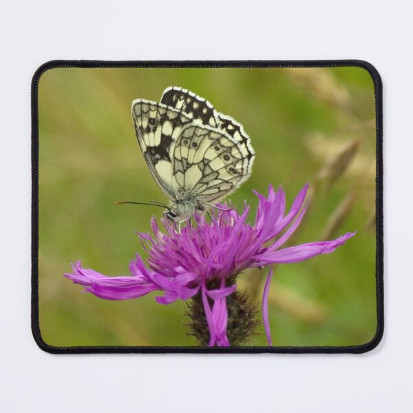 Item preview, Mariposa Blanca Marmolada designed and sold by Linda Marques.