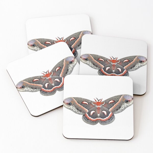 Item preview, Cecropia Moth designed and sold by MangoSeal.