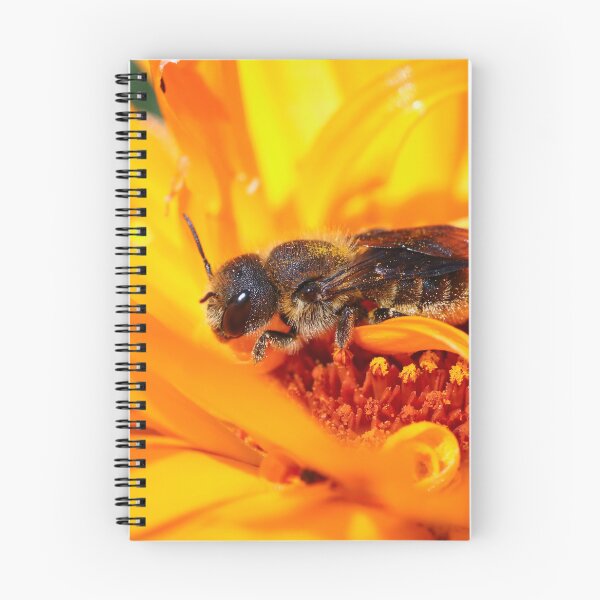 Item preview, Leafcutter bee in orange designed and sold by GreyFeatherPhot.