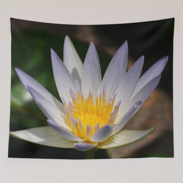 Item preview, Water Lily 3 designed and sold by SeeGodAroundUs.