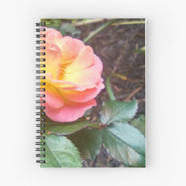 Item preview, Rose on a Mulch Bed Pink and Orange designed and sold by Mothe3rd.
